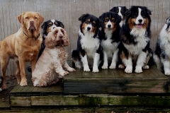 Gruppenposen