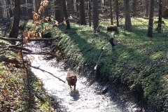 Und wenn das Wasser so phantastisch an die Beine spritzt!