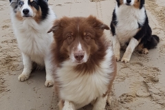 KRABBE, GISELA und CEM